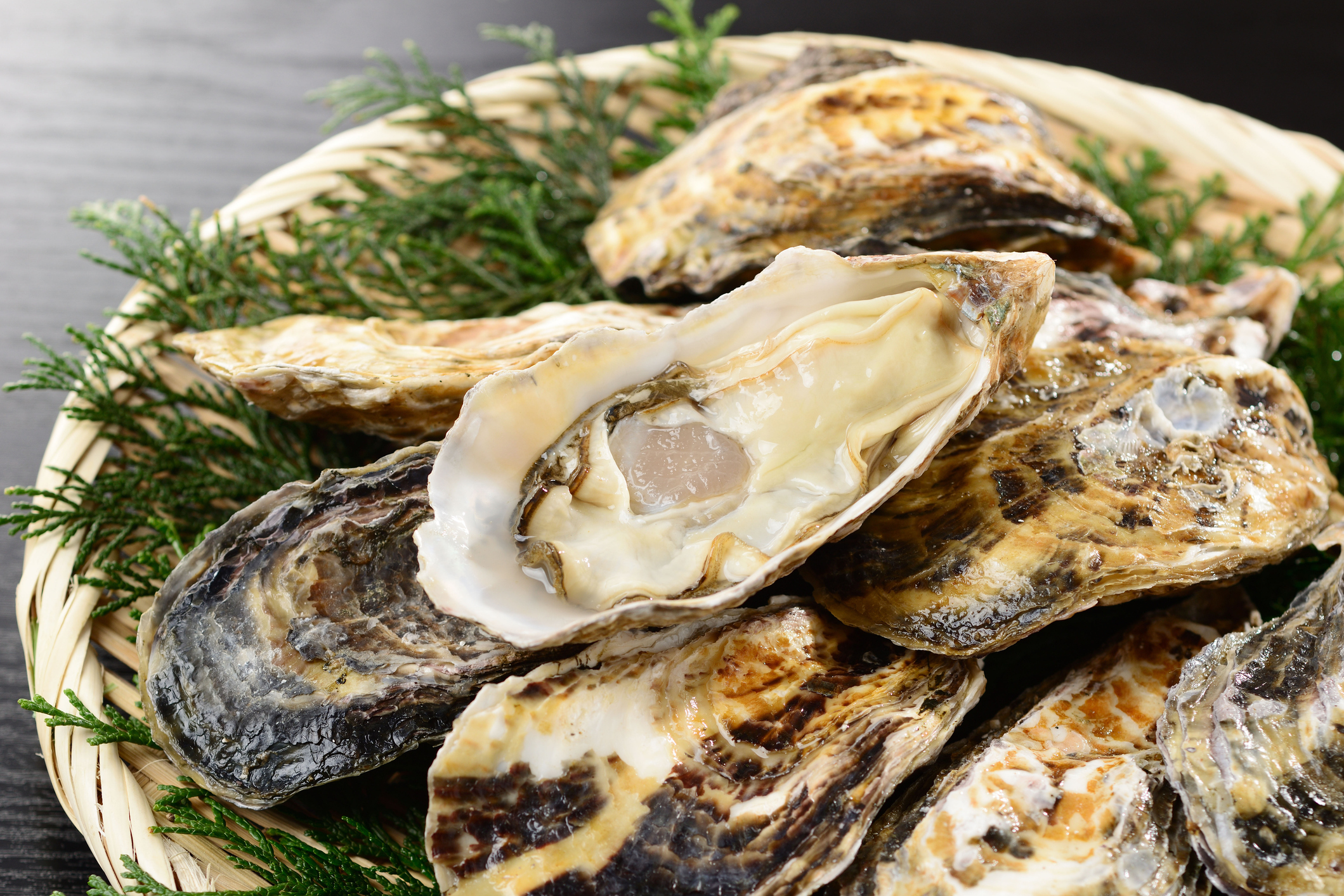Oysters