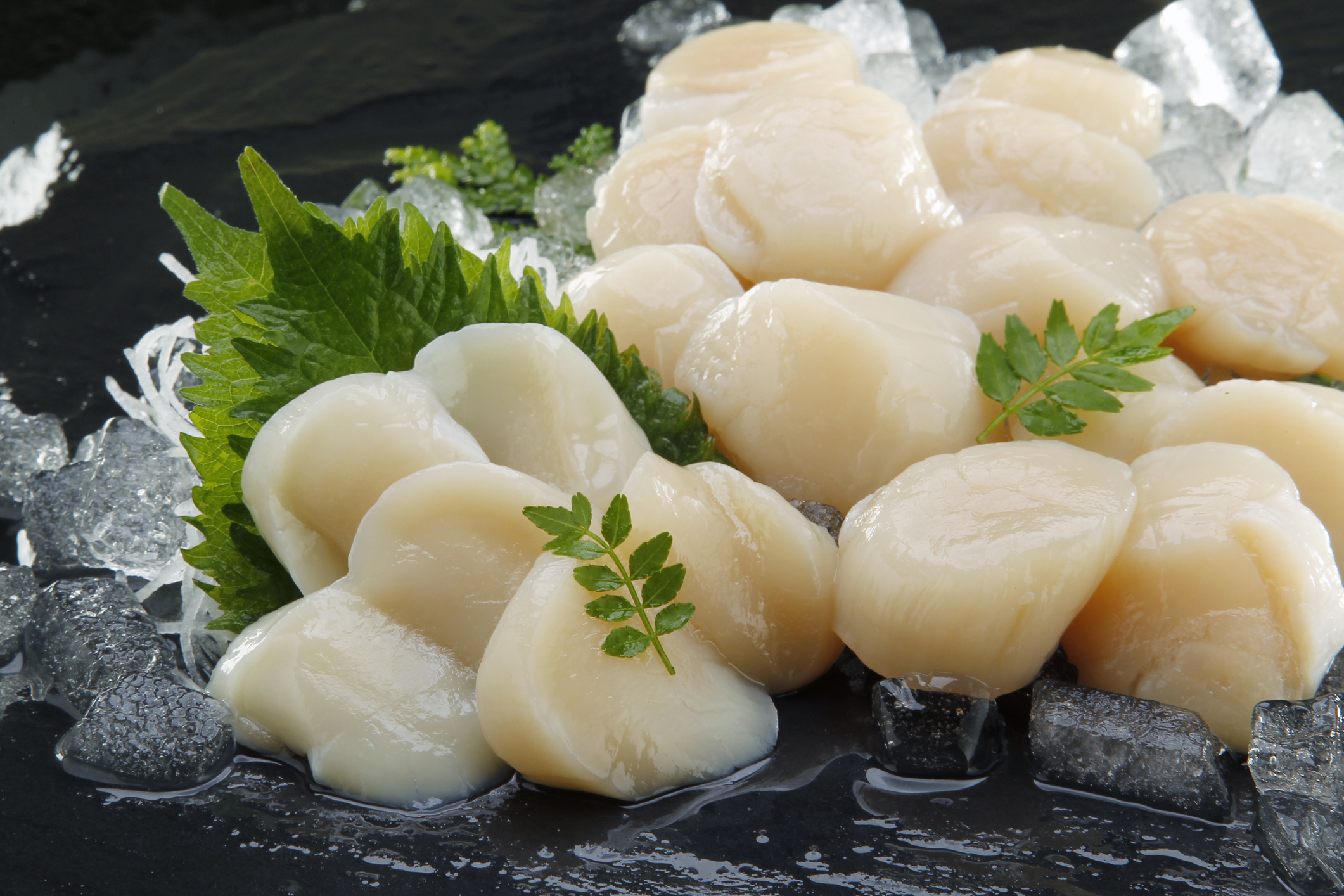 Scallop