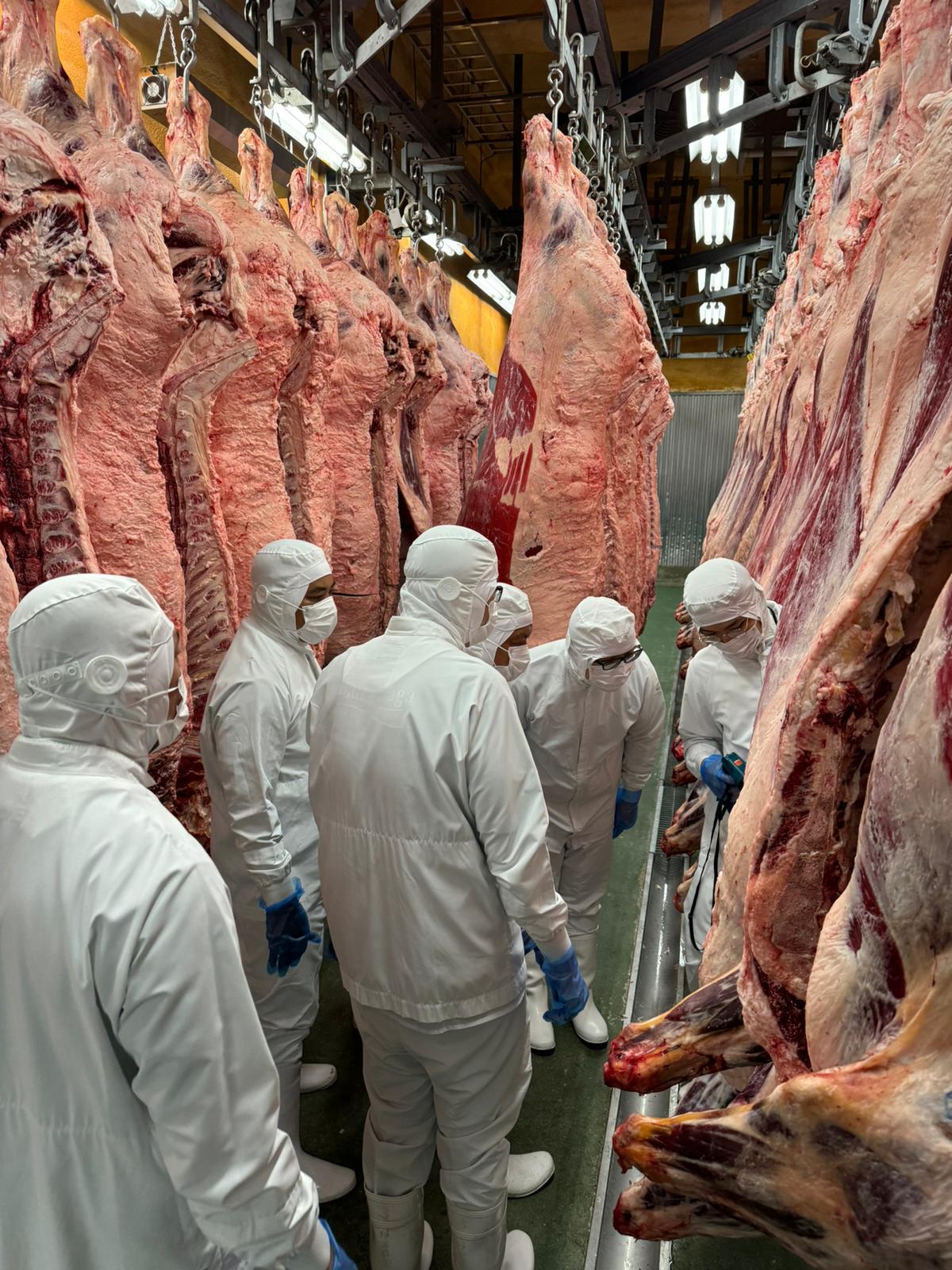 Wagyu farm — Fukuoka