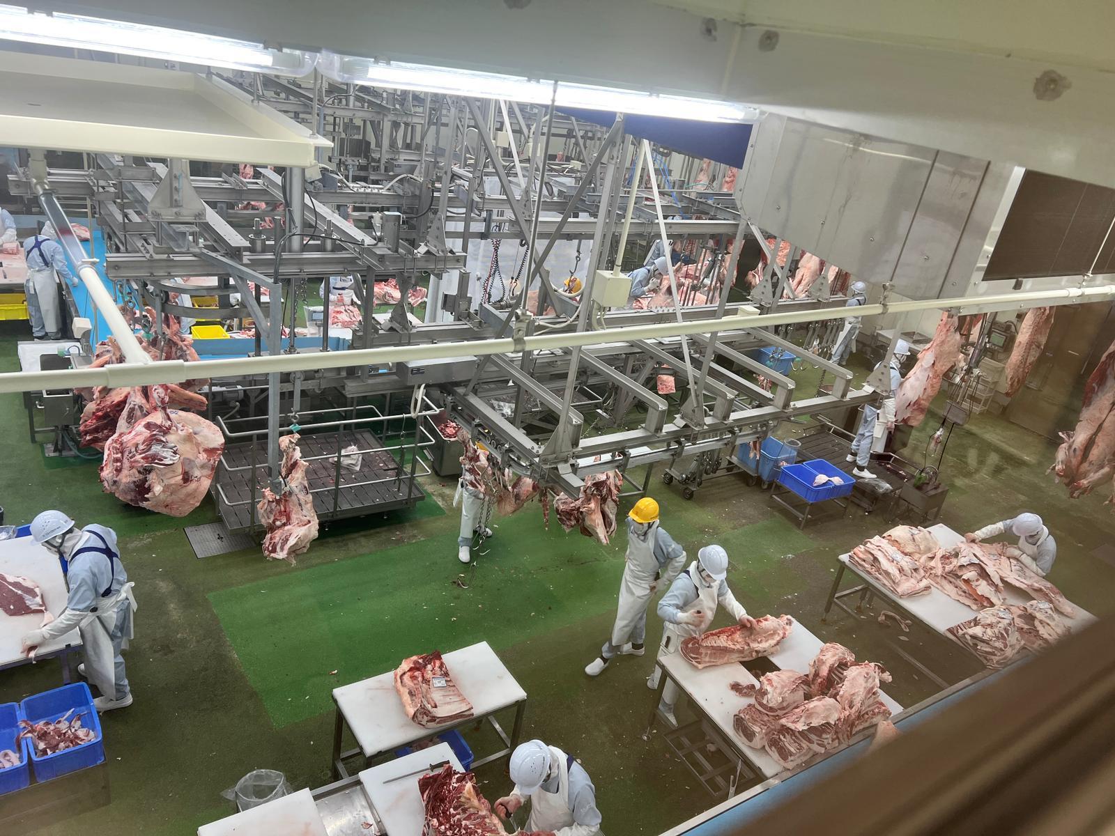 Wagyu farm — Fukuoka