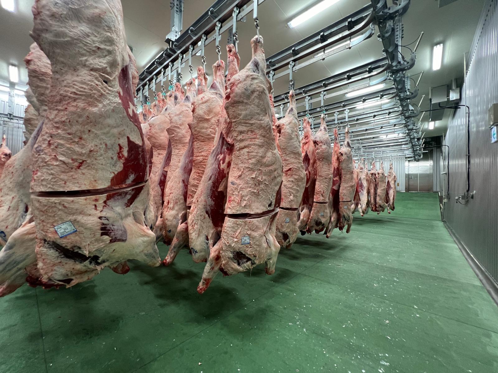 Wagyu farm — Fukuoka