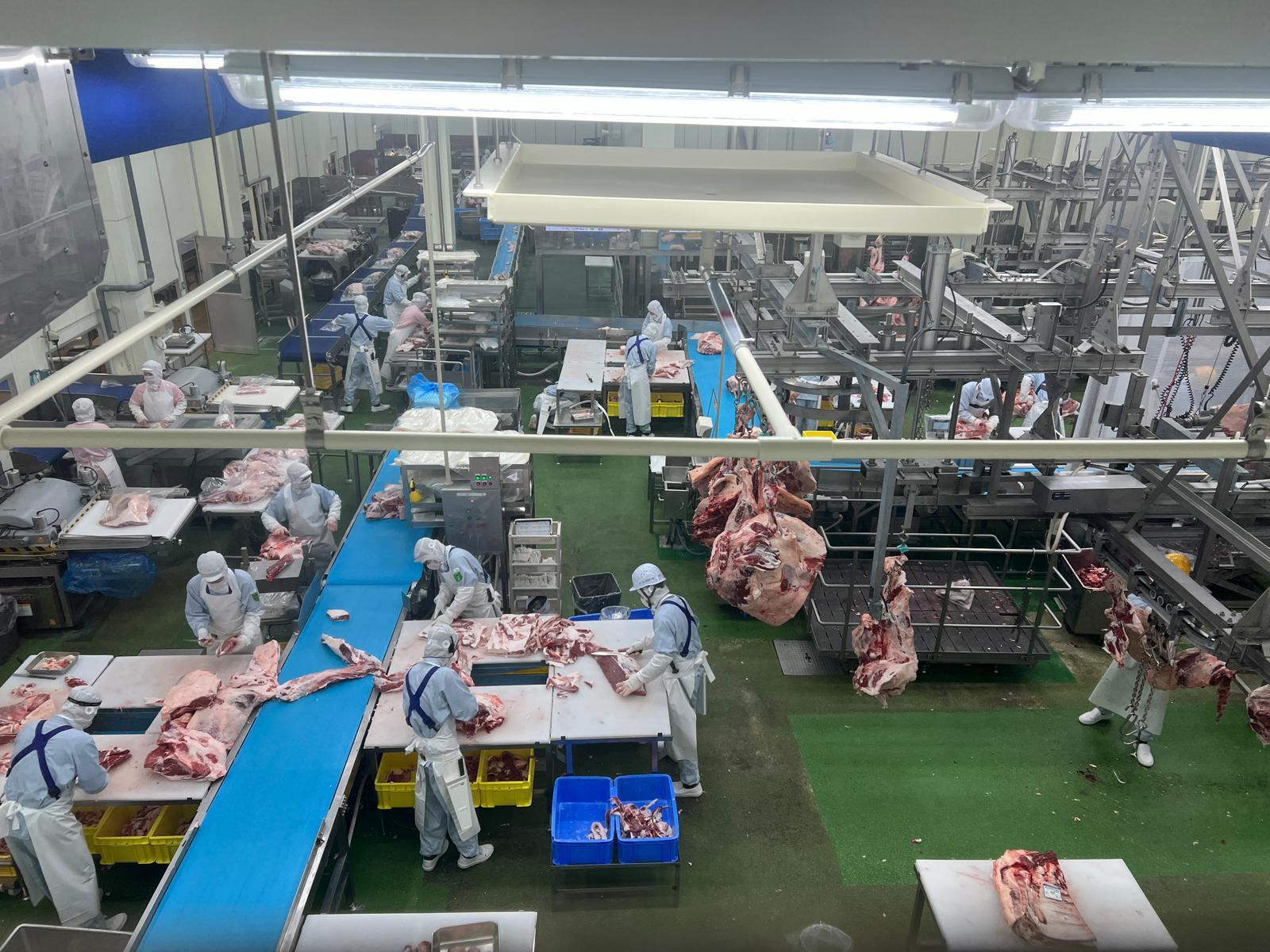 Wagyu farm — Fukuoka