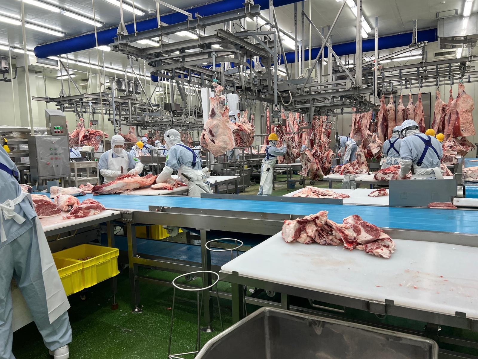 Wagyu farm — Fukuoka
