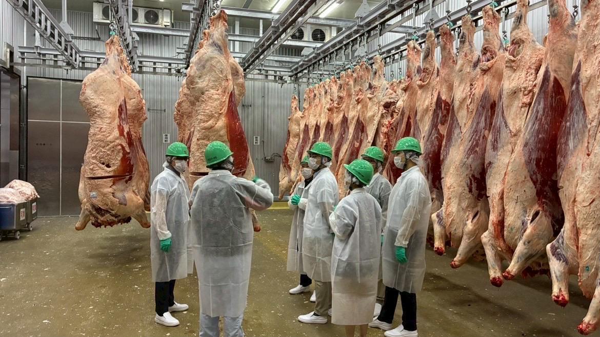 Wagyu farm — Fukuoka